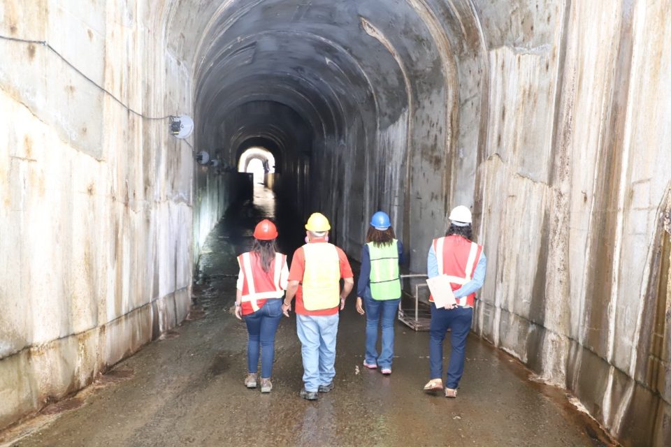 Egehid implementa operativo para retirar colonias de murciélagos