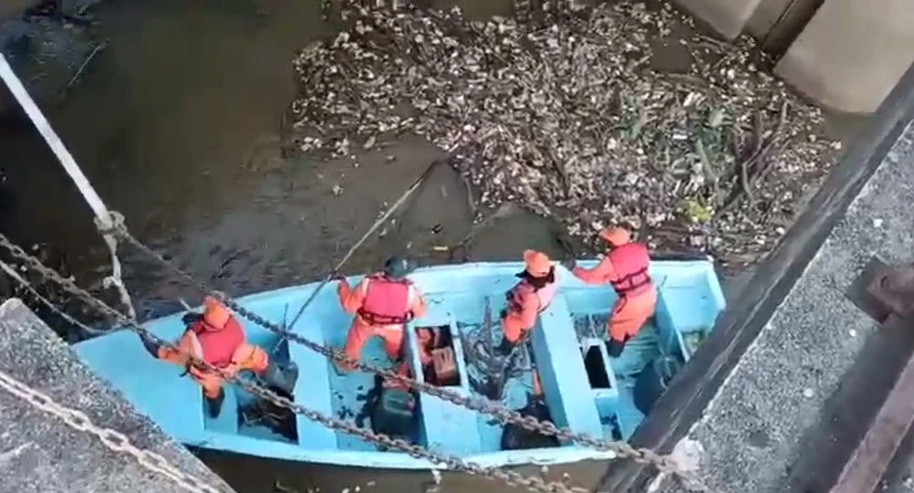 Imagen de la noticia