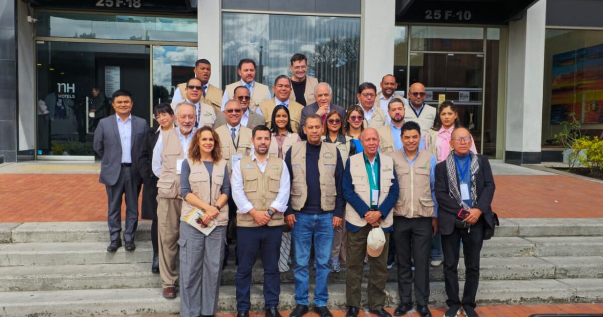Imagen de la noticia