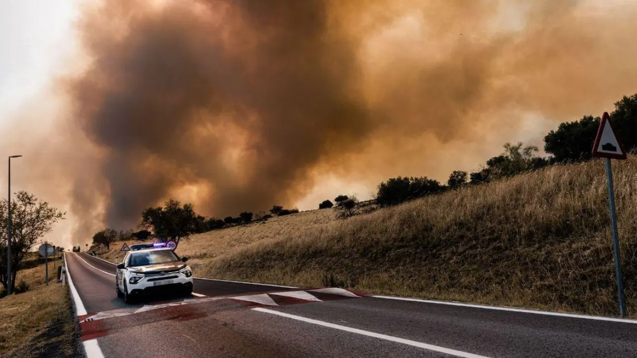 Imagen de la noticia